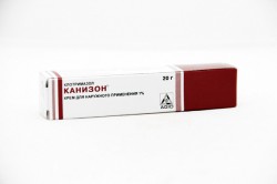 Канизон