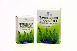 Ламинария (морская капуста)